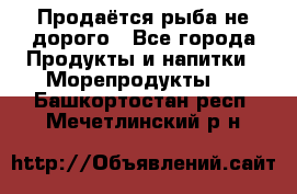 Продаётся рыба не дорого - Все города Продукты и напитки » Морепродукты   . Башкортостан респ.,Мечетлинский р-н